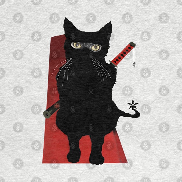 Ninja Cat by TenomonMalke